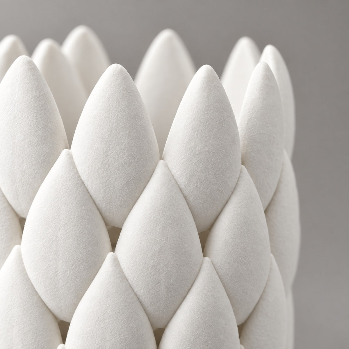 Agave – Makro