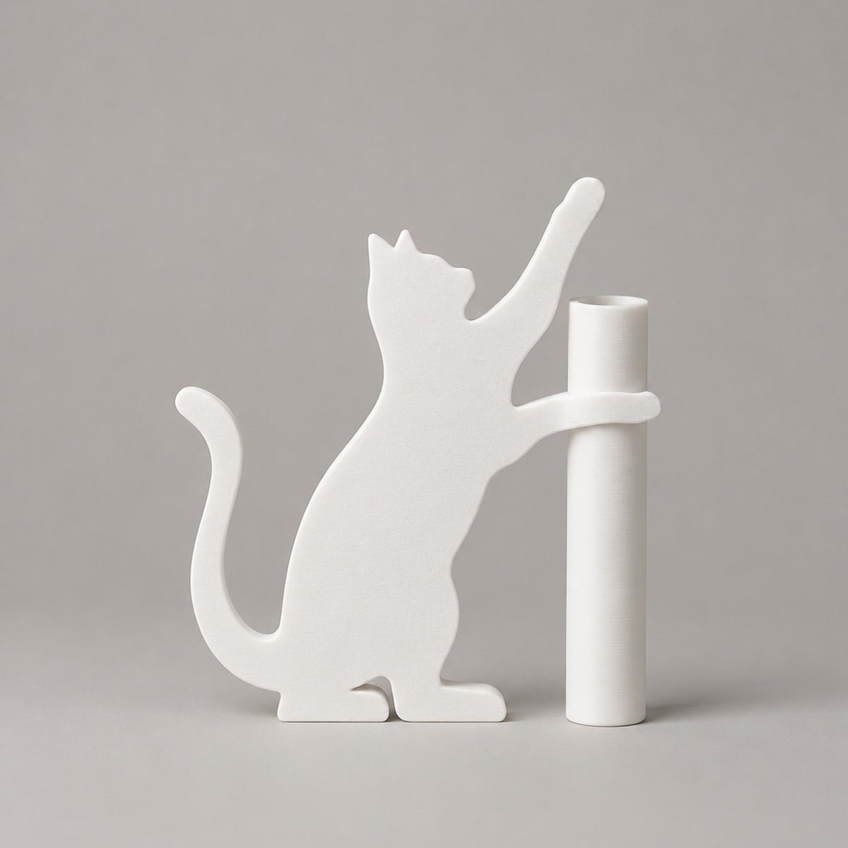 Micio – Studio
