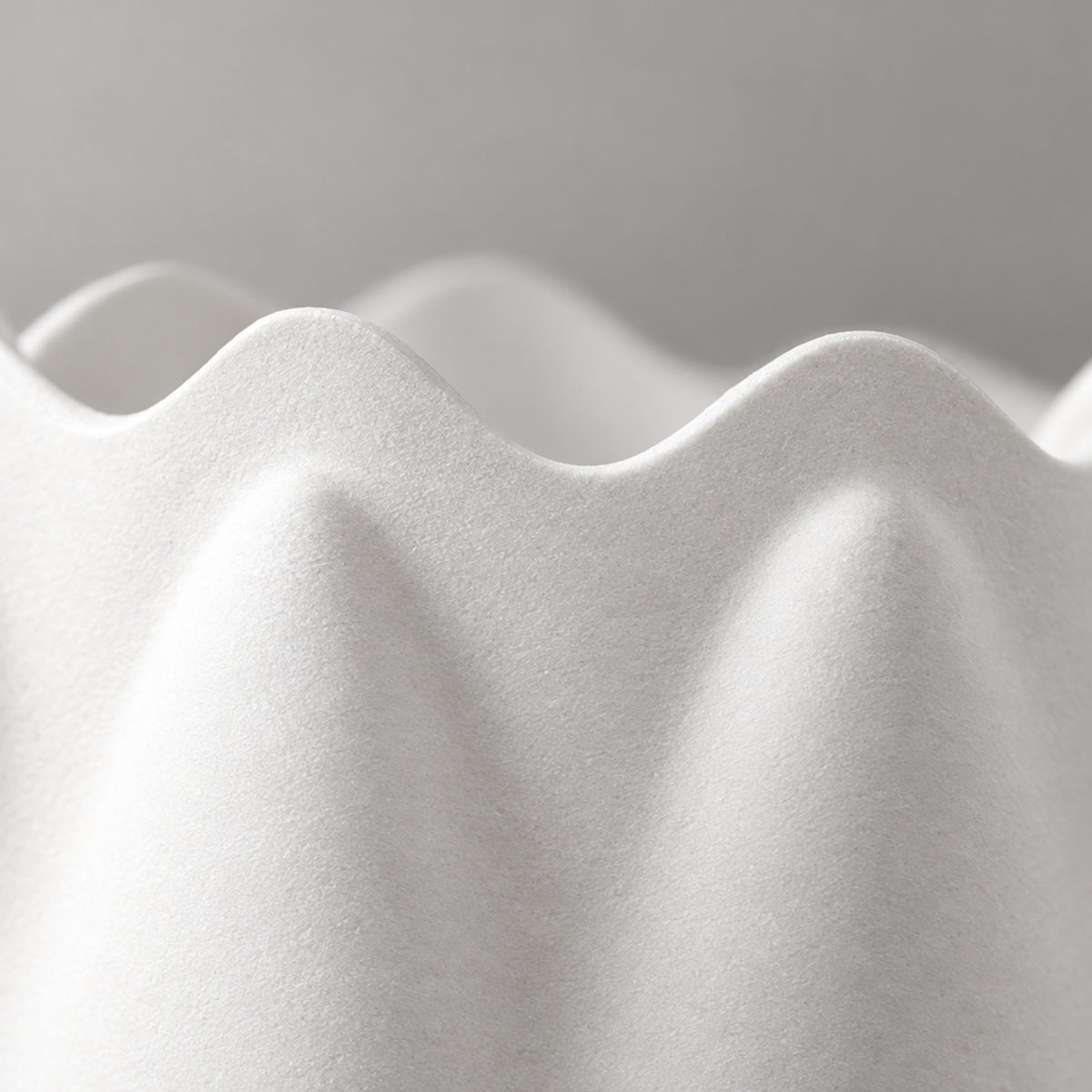 Festone – Makro