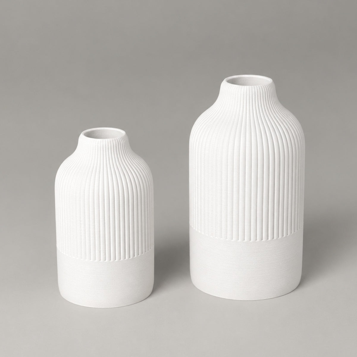 Primula – Studio