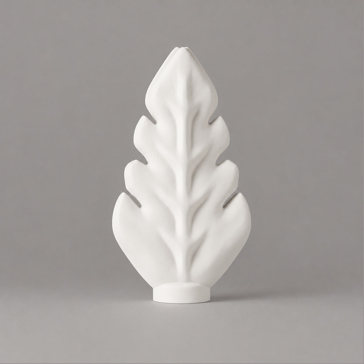 Quercia – Studio