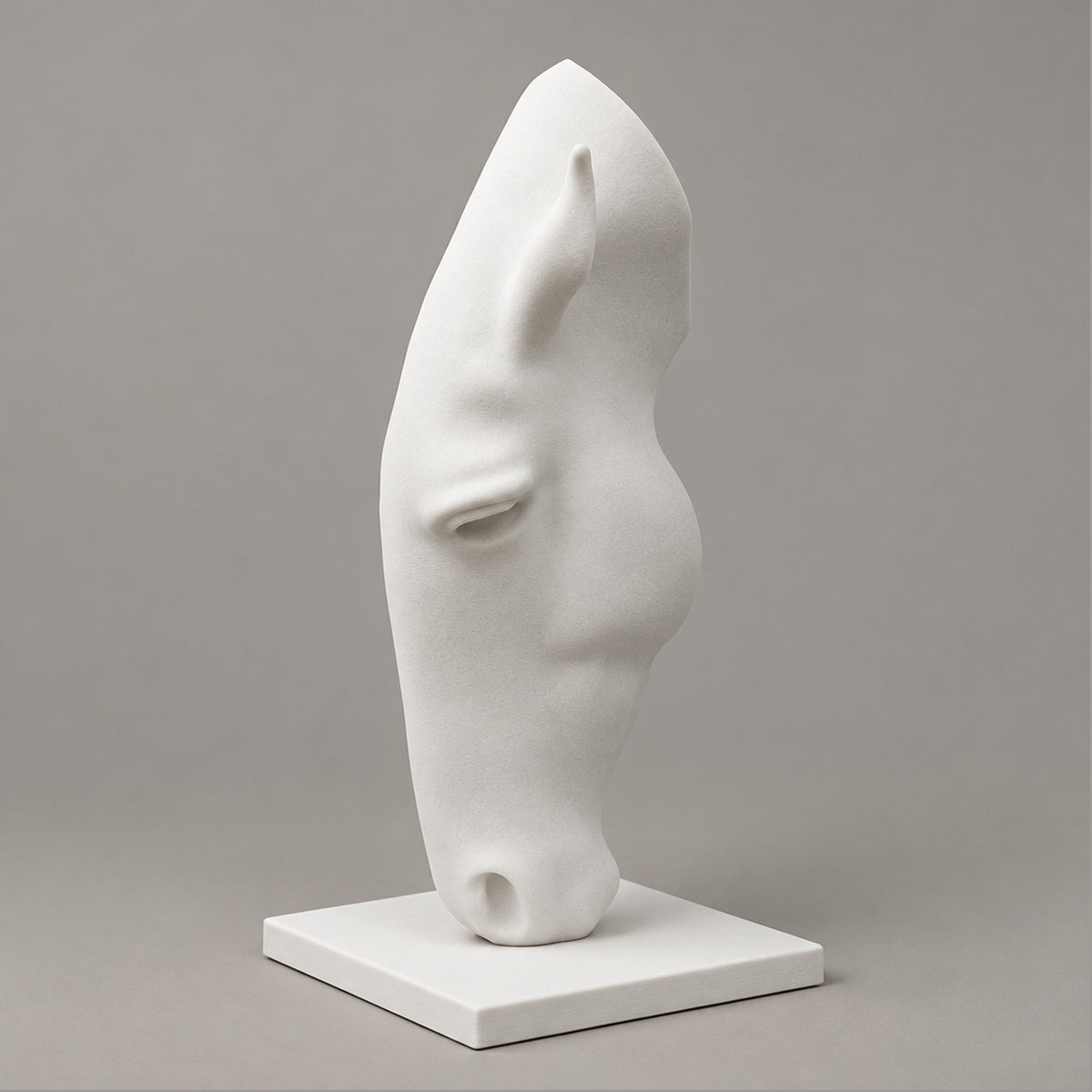 Destriero – Studio