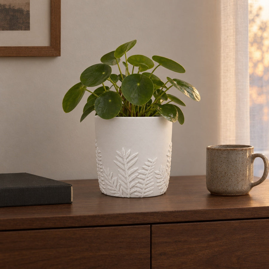 Felce – Übertopf mit Farnrelief aus dem 3D-Druck