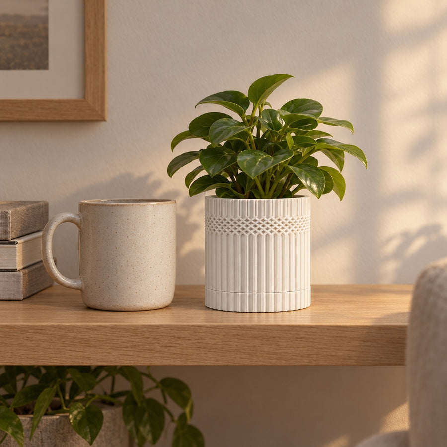 Merletto – kleines Pflanzgefäß mit Rautenband und Untersetzer aus dem 3D-Druck