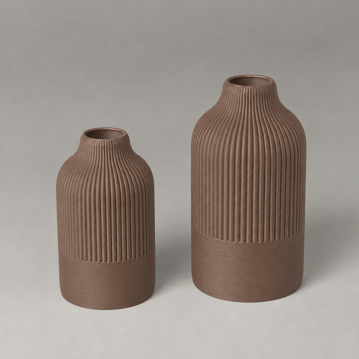 Primula – Braun